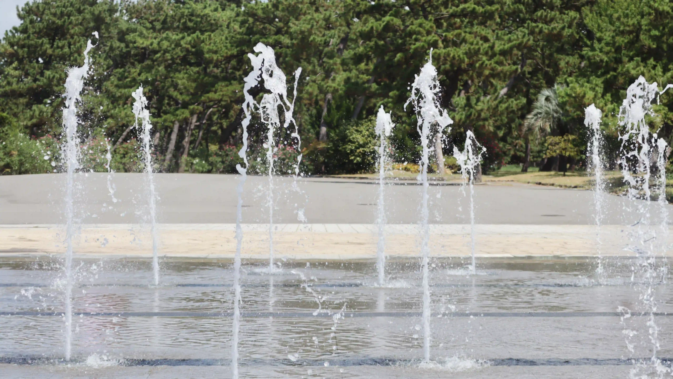 大阪府堺市および高石市 浜寺公園