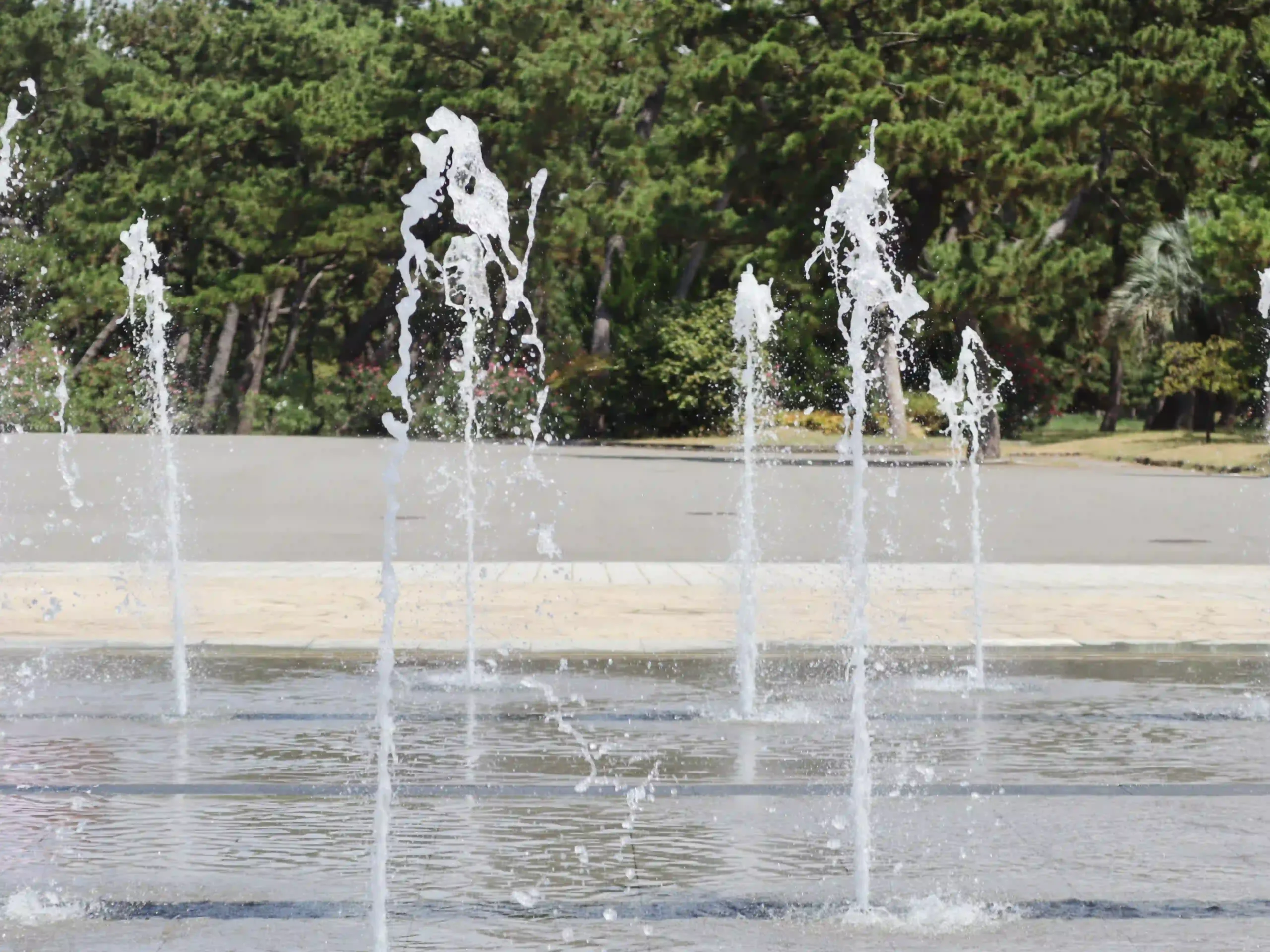 大阪府堺市および高石市 浜寺公園